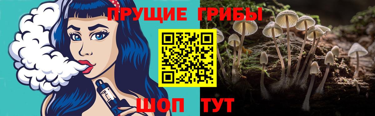 Галлюциногенные грибы Psilocybine cubensis Алушта
