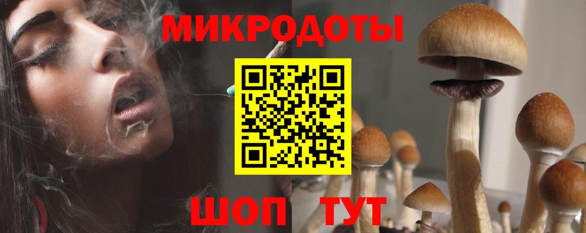 Галлюциногенные грибы MAGIC MUSHROOMS  Галлюциногенные грибы мицелий  Алушта  Вход с VPN 